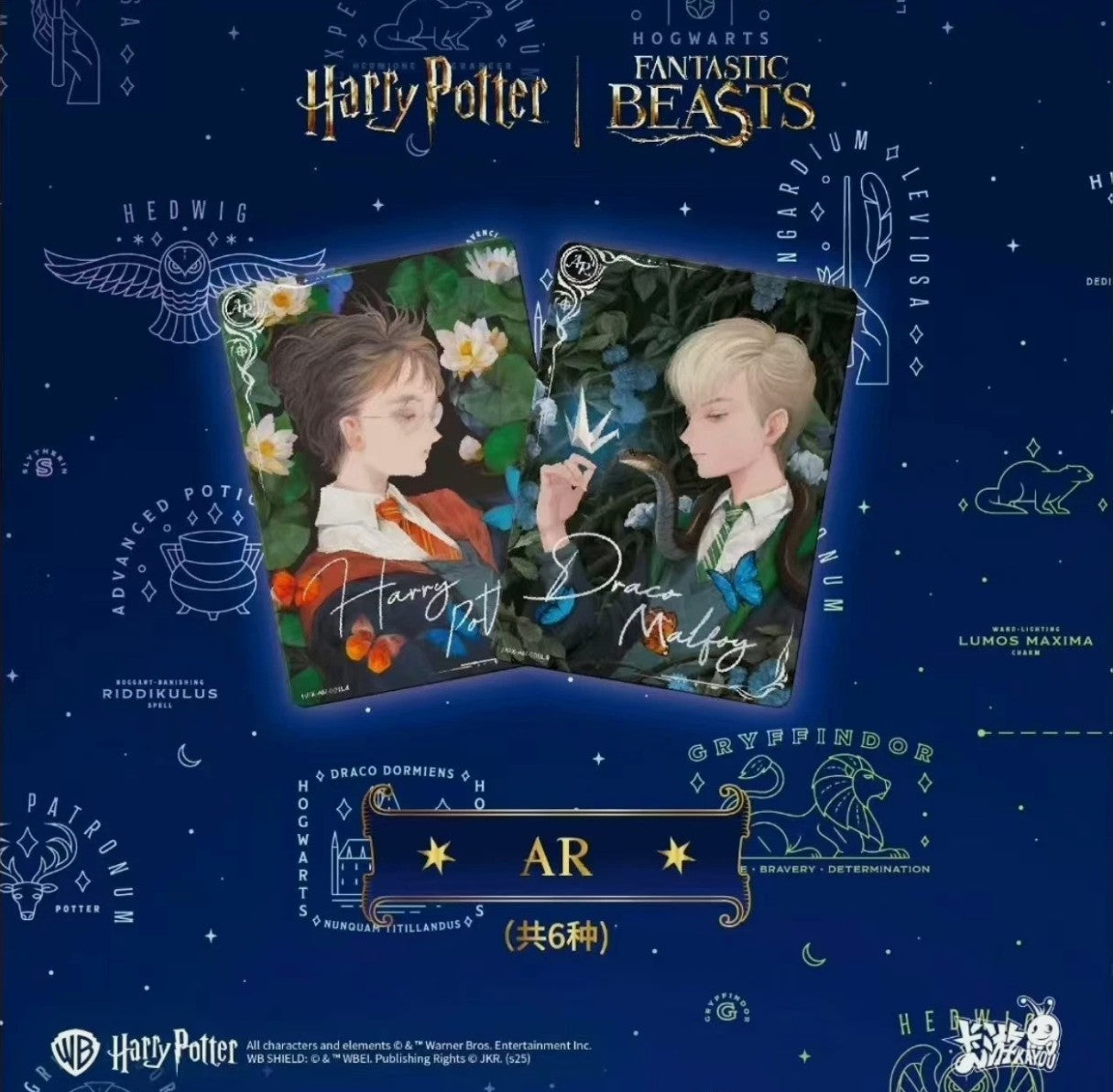 Display Harry Potter – Wizards’ Collection Card (US) Serie 2