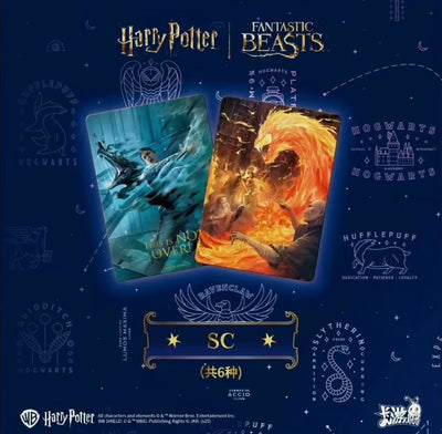 Display Harry Potter – Wizards’ Collection Card (US) Serie 2