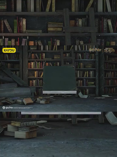 Display Harry Potter – Wizards’ Collection Card Us Serie 2